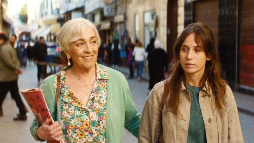 Cele mai noi filme ale lui Radu Jude și Pedro Almodóvar, printre primele titluri confirmate la TIFF.25 19006511