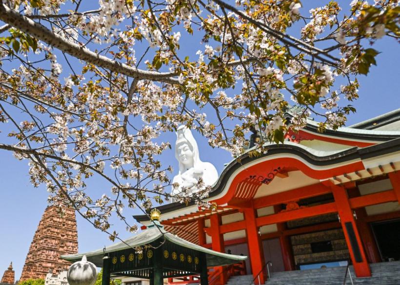 Horoscop chinezesc 3 mai 2026: cine sunt nativii care atrag bani, oportunități și succes
