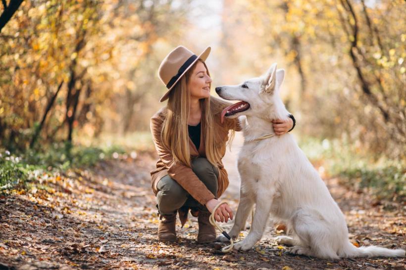 4 zodii ale celor mai buni stăpâni de animale de companie