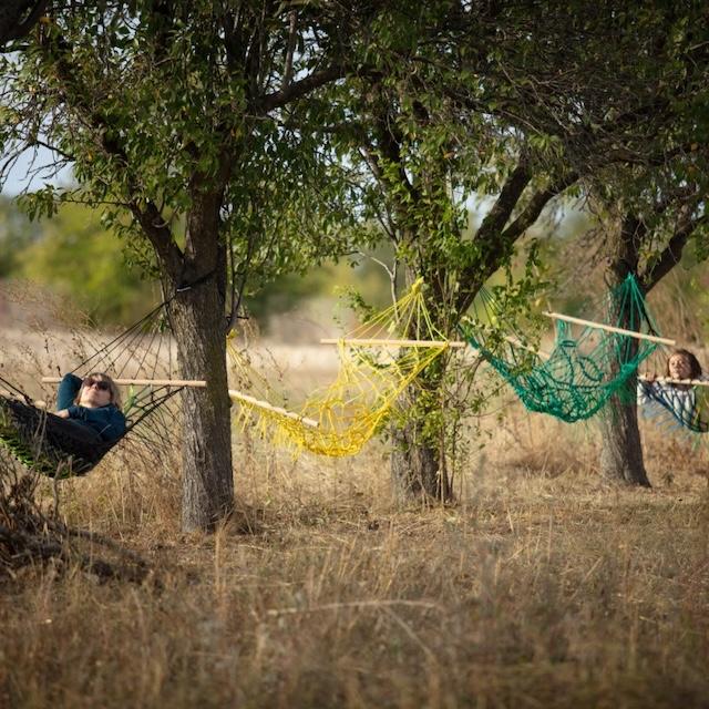 RAD Sculpture Park 2026 „CO-LAC” – peste 60 de artiști și mai mult de 100 de lucrări expuse în aer liber, până pe 15 mai 19006901