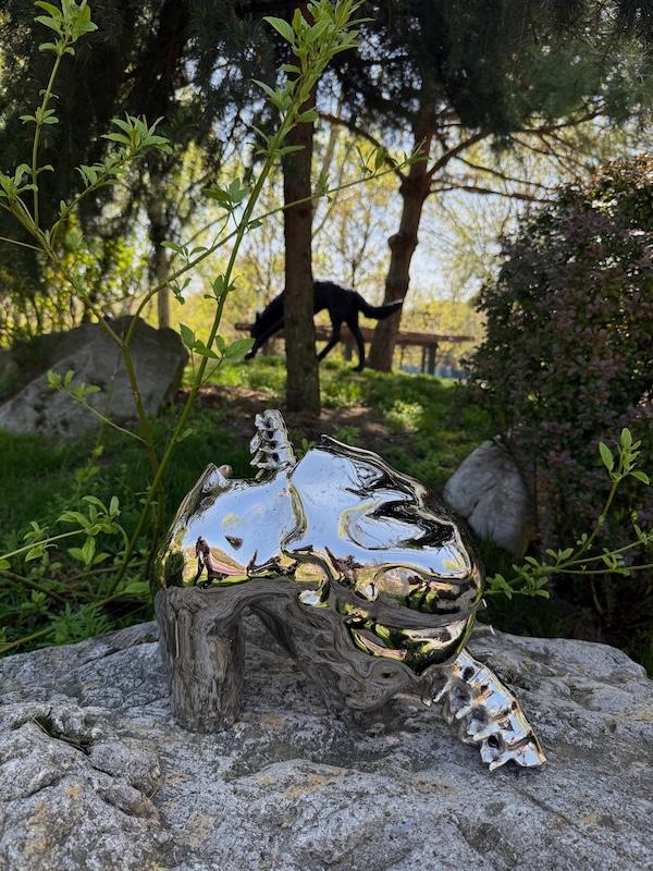RAD Sculpture Park 2026 „CO-LAC” – peste 60 de artiști și mai mult de 100 de lucrări expuse în aer liber, până pe 15 mai 19006904