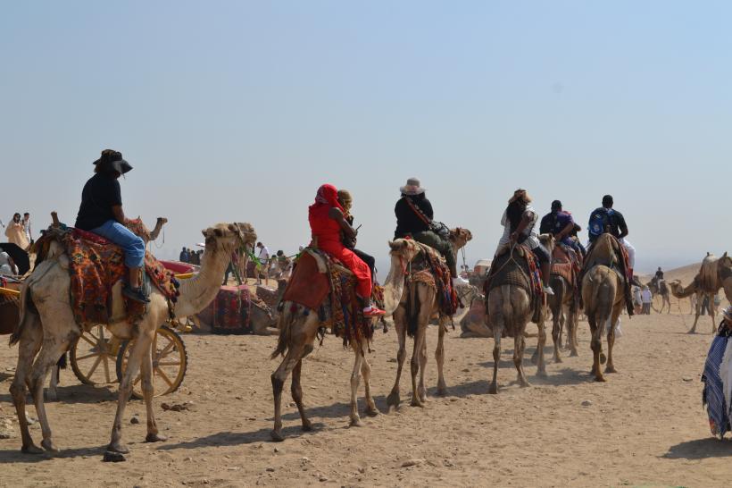 Vacanță în Sharm El-Sheikh: ghidul complet pentru românii care visează la farmecul Egiptului 19006746