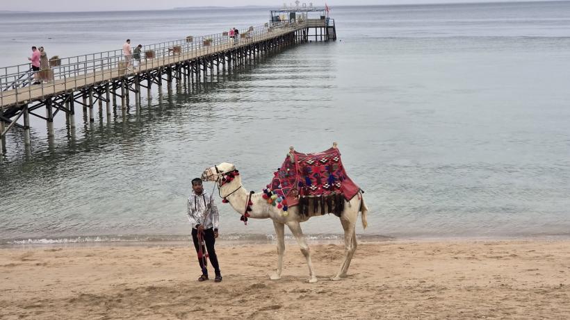 Vacanță în Sharm El-Sheikh: ghidul complet pentru românii care visează la farmecul Egiptului 19006749