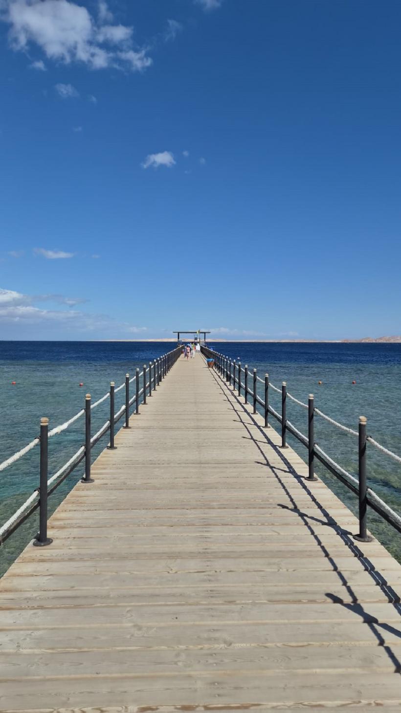 Vacanță în Sharm El-Sheikh: ghidul complet pentru românii care visează la farmecul Egiptului 19006751