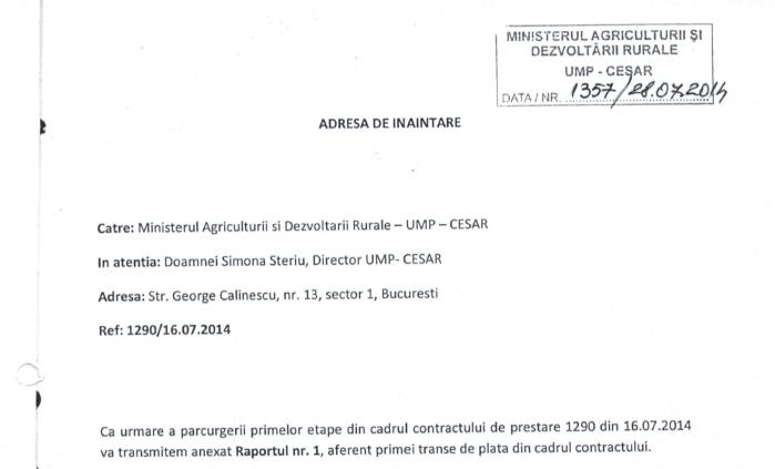 Judecătoarea Camelia Bogdan, plătită de o parte din dosar înainte de verdict. Documentele care indică un conflict major de interese 19007238