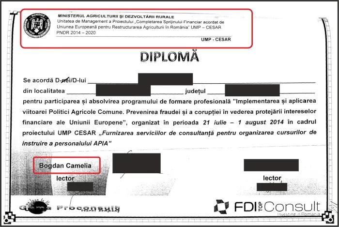 Judecătoarea Camelia Bogdan, plătită de o parte din dosar înainte de verdict. Documentele care indică un conflict major de interese 19007244