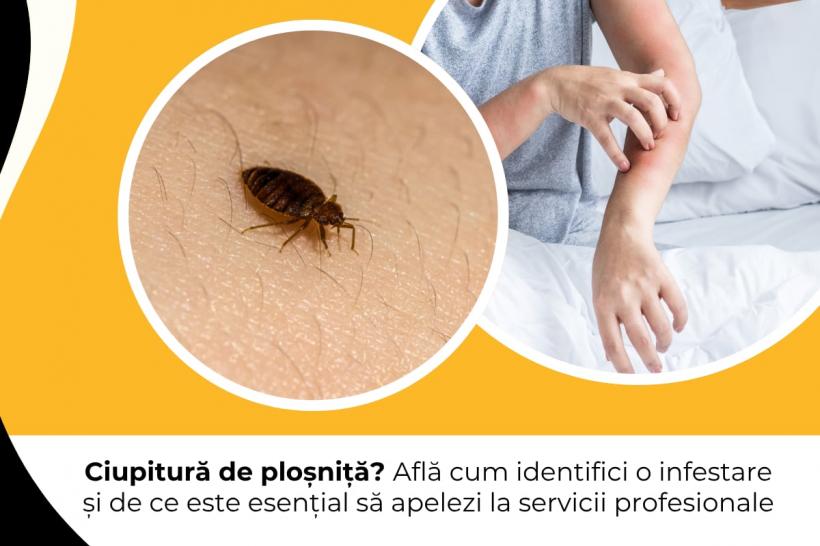 Pericolul invizibil din casă: Indiciul care trădează prezența ploșnițelor. Metoda eficientă care te ajută să scapi rapid de ele