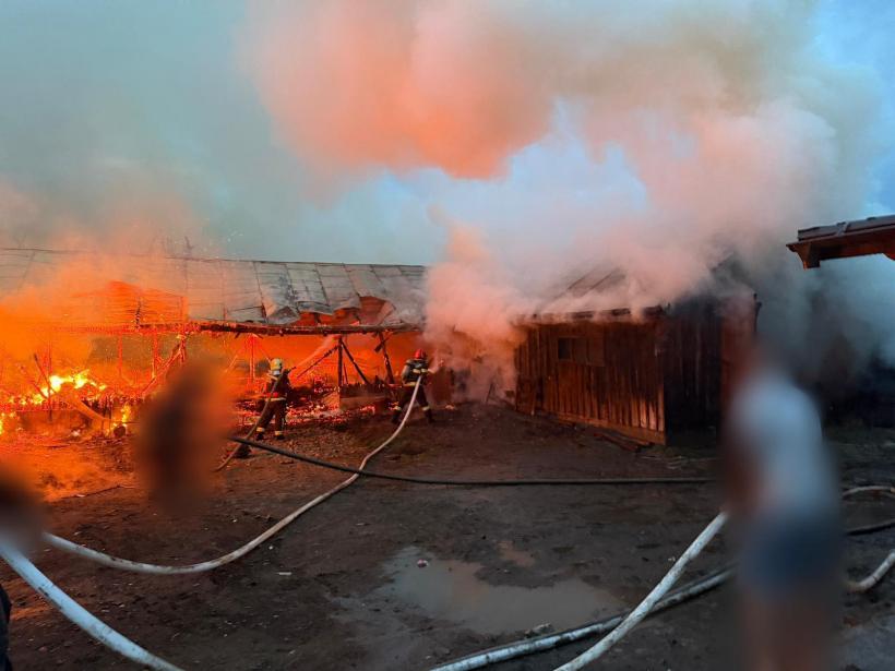Incendiu violent: Ard două adăposturi de animale din Frătăuții Vechi 19007476
