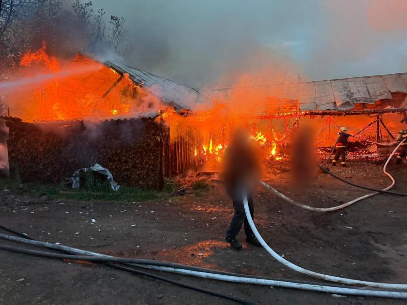 Incendiu violent: Ard două adăposturi de animale din Frătăuții Vechi 19007477
