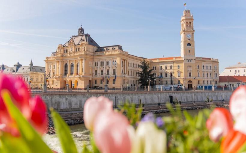 Lecția Oradea pentru România: „Pomul ineficienței trebuie scuturat violent”