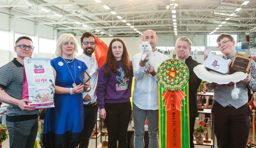 Performanță spectaculoasă pentru România: pisicile campioane cuceresc Europa, iar o felină de pe stradă devine star internațional 19007519