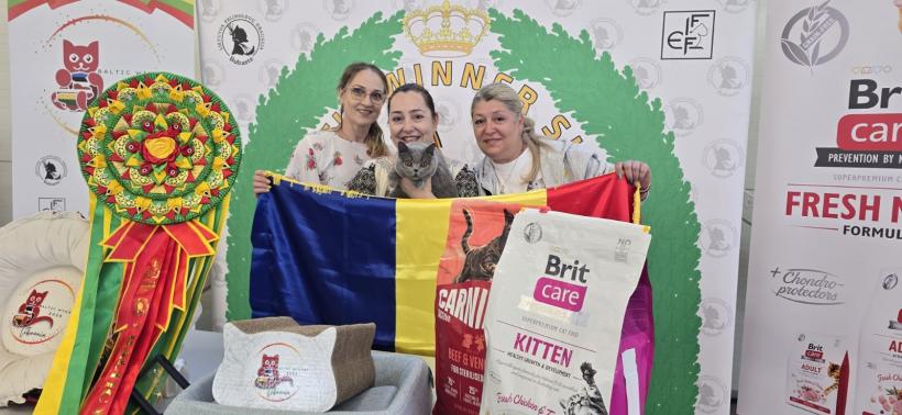 Performanță spectaculoasă pentru România: pisicile campioane cuceresc Europa, iar o felină de pe stradă devine star internațional 19007520