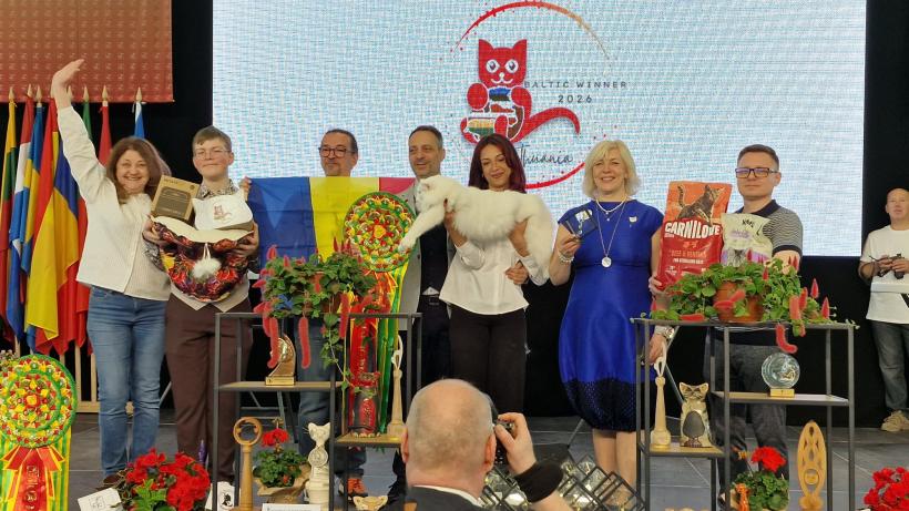 Performanță spectaculoasă pentru România: pisicile campioane cuceresc Europa, iar o felină de pe stradă devine star internațional 19007521