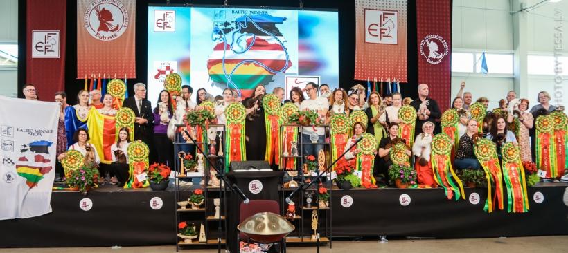 Performanță spectaculoasă pentru România: pisicile campioane cuceresc Europa, iar o felină de pe stradă devine star internațional 19007524