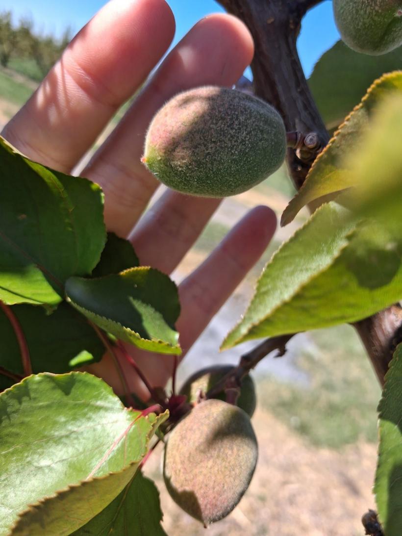Guvernul blochează peste 200 de milioane de euro din Fondul de Risc pentru agricultură, de 4 ani 19007786