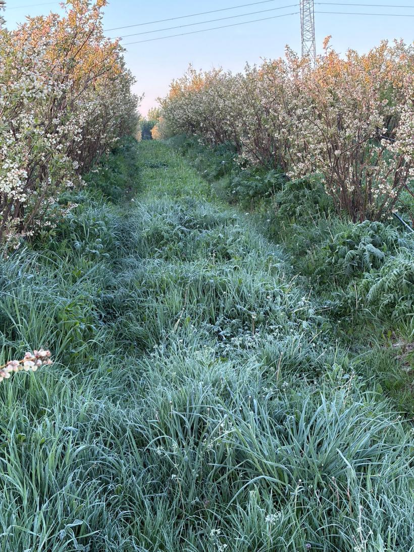 Guvernul blochează peste 200 de milioane de euro din Fondul de Risc pentru agricultură, de 4 ani 19007787