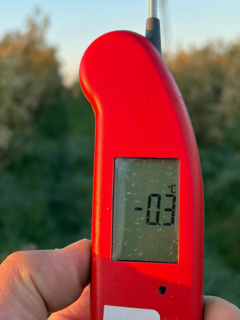 Guvernul blochează peste 200 de milioane de euro din Fondul de Risc pentru agricultură, de 4 ani 19007788