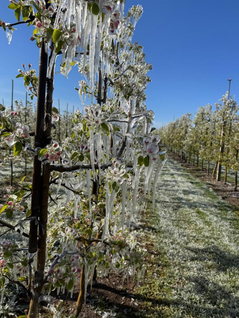 Guvernul blochează peste 200 de milioane de euro din Fondul de Risc pentru agricultură, de 4 ani 19007790