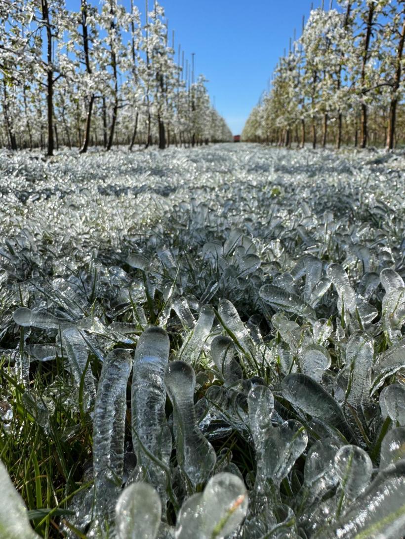 Guvernul blochează peste 200 de milioane de euro din Fondul de Risc pentru agricultură, de 4 ani 19007791