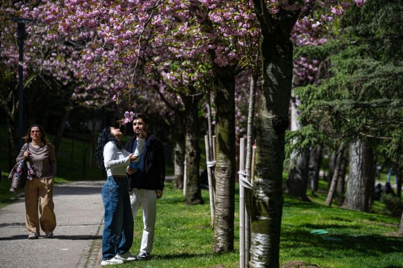 4 luni de naștere care vor păși în necunoscut în această săptămână. Schimbările care le pot transforma complet viața
