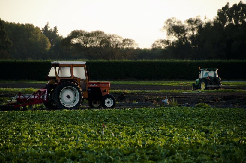 APIA lucrează și la sfârșit de săptămână: Cererile de plată pentru Campana 2026 se primesc inclusiv sâmbătă și duminică