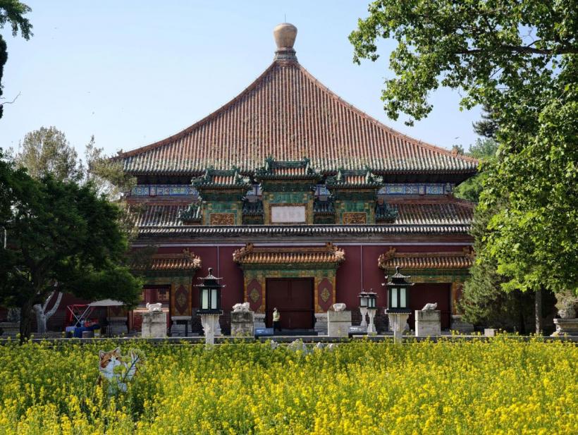 Duminică plină de noroc pentru aceste zodii chinezești. Cine primește șanse rare pe 17 mai 2026