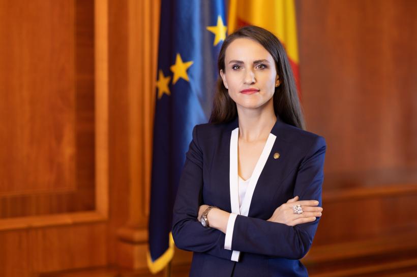 Brâncuși, abandonat de autorități: Statul nu a purtat negocieri pentru „Danaida”, conform Oanei Țoiu