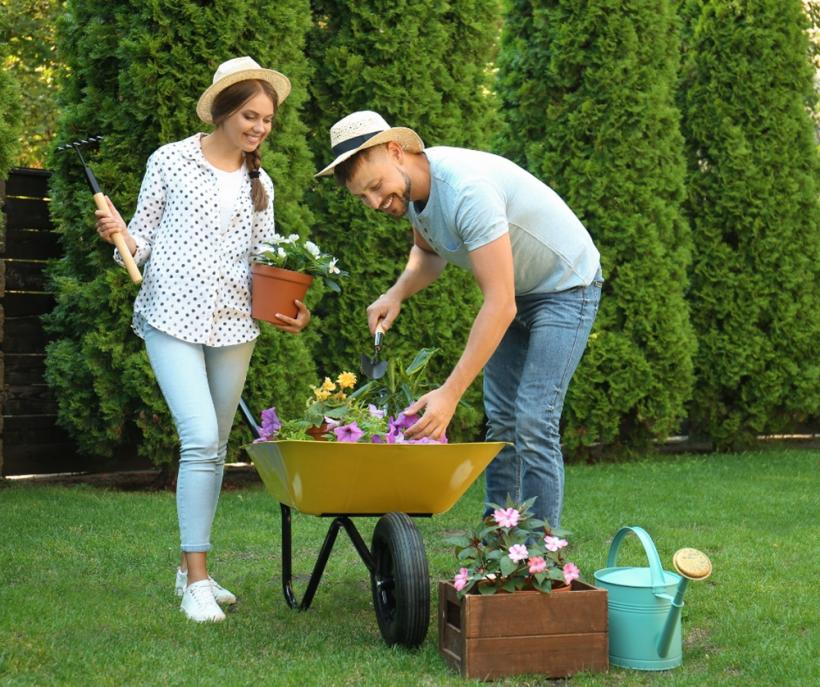Cum a apărut ROA Garden și de ce tot mai mulți români redescoperă grădinăritul