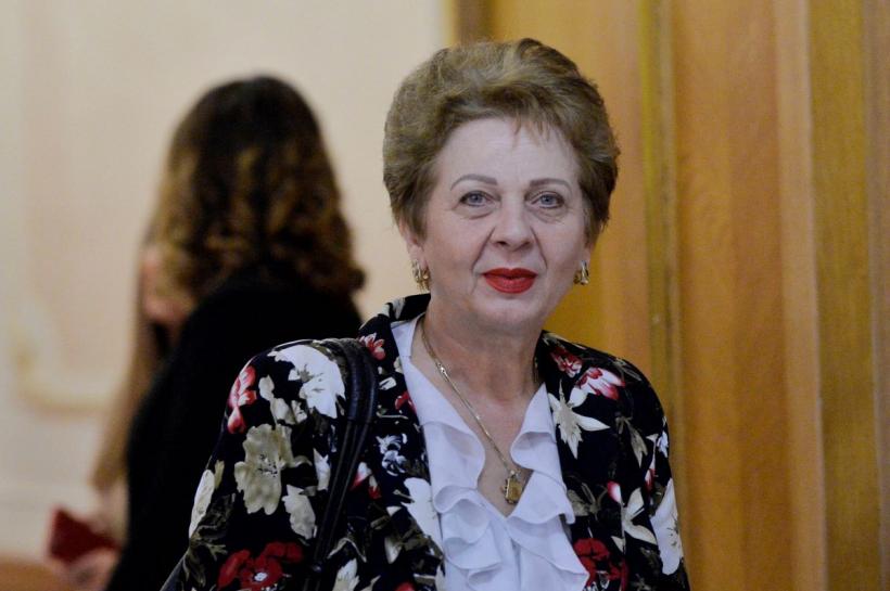 Doina Pană reia afirmațiile privind otrăvirea cu mercur: Fostul ministru acuză interese din industria lemnului