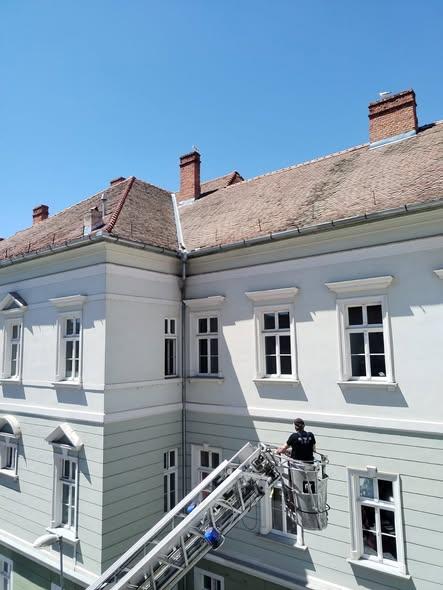 Cum au fost salvați în ultima secundă doi pui de pescăruș de pe clădirea Primăriei din Sibiu 19010349