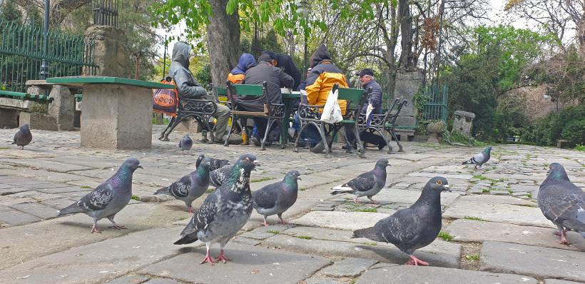 România oamenilor simpli