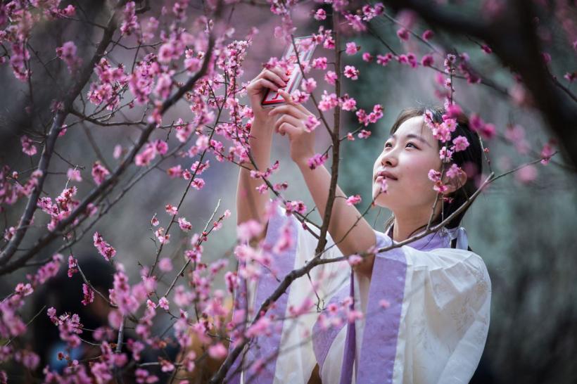 Horoscop chinezesc iunie 2026: 3 zodii atrag noroc și prosperitate toată luna
