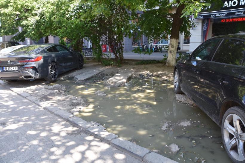 Ciprian Ciucu schimbă fața Sectorului 6: Proiectul verde prin care Bulevardul Națiunile Unite prinde viață 19011639