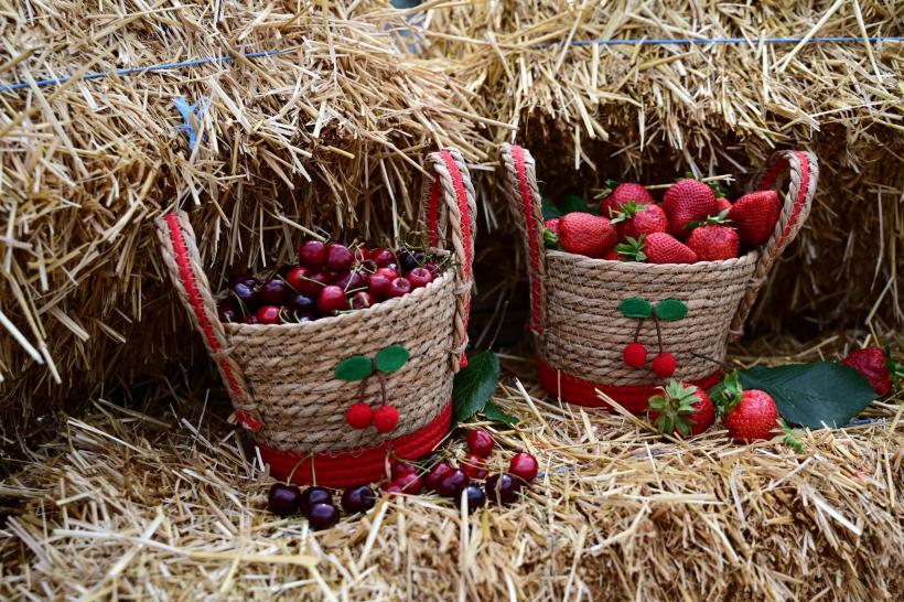 Festivalul Cireșelor și al Căpșunilor a început în Piața Matache. Cât costă fructele