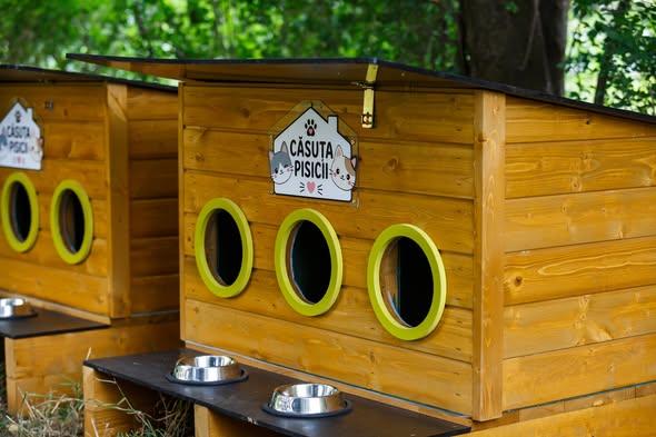 Premieră la Cluj-Napoca! Primăria montează zeci de adăposturi speciale și oferă mâncare gratuită pentru pisici 19012070