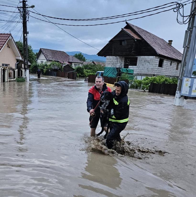 Persoană surprinsă de viitură, salvată în ultima clipă de pompieri 19012184