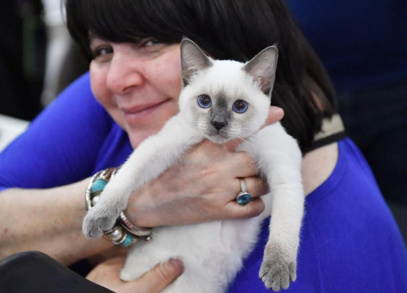 Facturi URIAȘE la veterinar. Soluția la care apelează tot mai mulți români