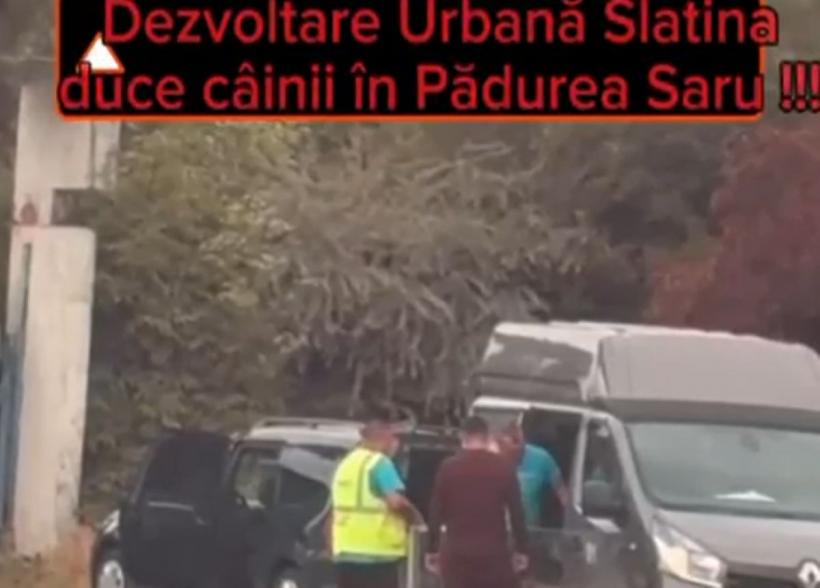 Cristian Cismaru solicită anchetă după apariția unor imagini care ridică suspiciuni privind transportul câinilor capturați
