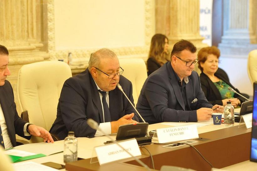 Liderul senatorilor PNL critică mutarea de la Cotroceni: Desemnarea lui Veștea încalcă legea fundamentală