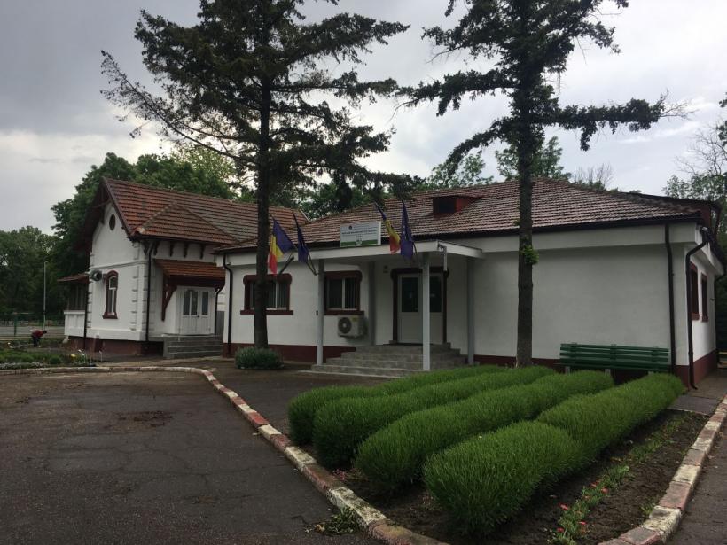 Pericolul bolilor OMG care trec la om: mănânci o roșie și te otrăvește un pește 19013463