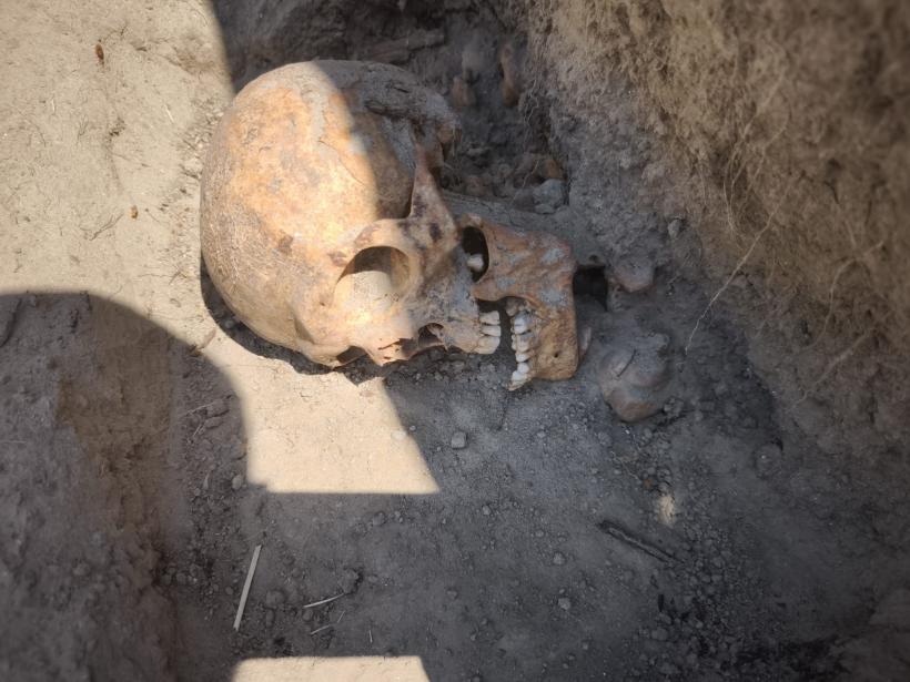 Lagărul de exterminare de la Salcia. REPORTAJ de pe marginea unei gropi comune 19013858