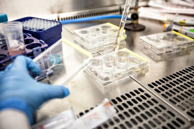 Oamenii de știință caută următorul medicament anticancer în genomul unei boli rare