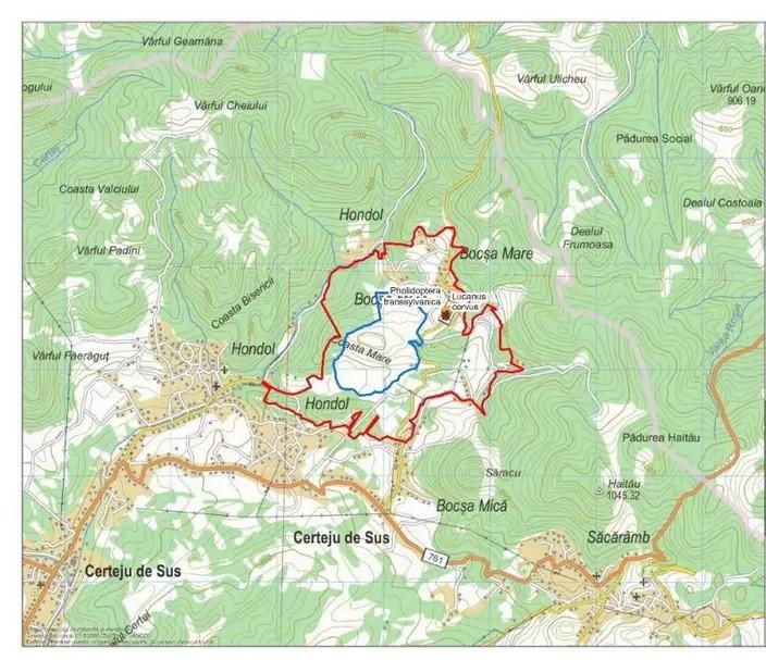 Proiectul aurifer de la Certej se clatină din nou. Avizul de mediu este în pericol 19015061
