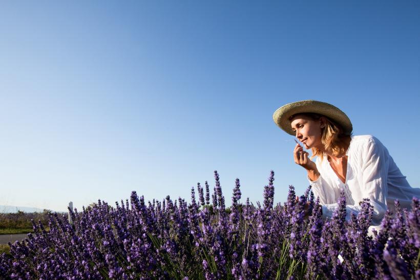 Afacerea care înflorește în România. Mierea din această plantă costă 35 de lei borcanul