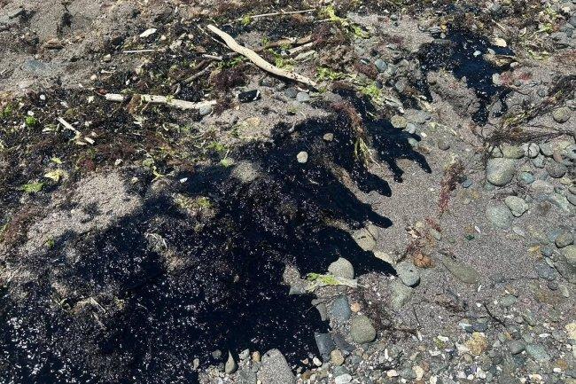 Alertă în Marea Neagră: tone de păcură ajung pe plaje și amenință litoralul României