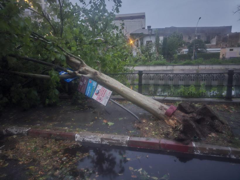 REPORTAJ: „Cu grijă, domnu’, că intră ramura în mașină.” Furtună pe malul Dâmboviței. Un polițist, o drujbă și sinistrații de pe TikTok 19016180