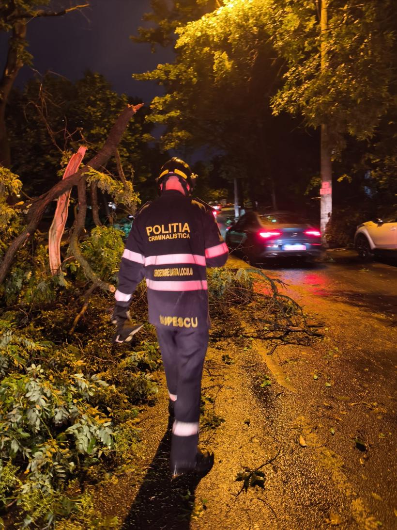 REPORTAJ: „Cu grijă, domnu’, că intră ramura în mașină.” Furtună pe malul Dâmboviței. Un polițist, o drujbă și sinistrații de pe TikTok 19016182
