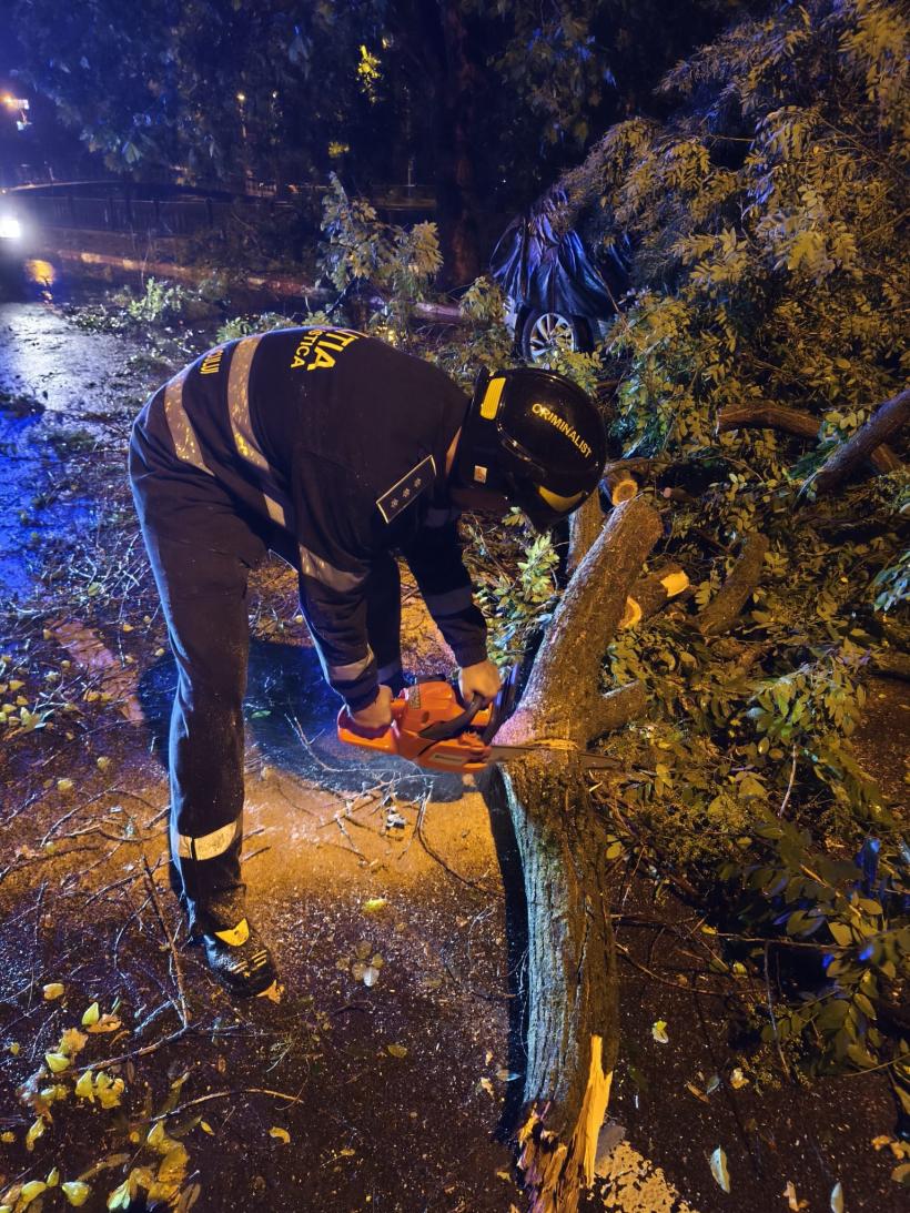 REPORTAJ: „Cu grijă, domnu’, că intră ramura în mașină.” Furtună pe malul Dâmboviței. Un polițist, o drujbă și sinistrații de pe TikTok 19016183