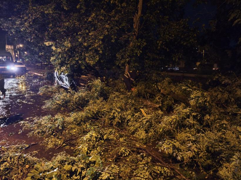 REPORTAJ: „Cu grijă, domnu’, că intră ramura în mașină.” Furtună pe malul Dâmboviței. Un polițist, o drujbă și sinistrații de pe TikTok 19016184