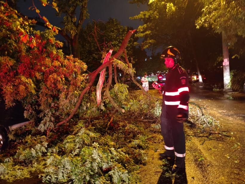 REPORTAJ: „Cu grijă, domnu’, că intră ramura în mașină.” Furtună pe malul Dâmboviței. Un polițist, o drujbă și sinistrații de pe TikTok